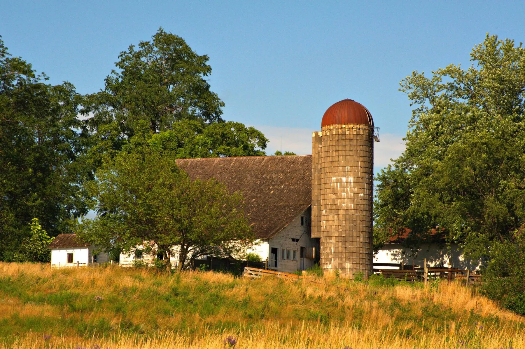 A century-farm barn and silo at the edge of Ankeny, Iowa